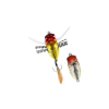 Duo REALIS SHINMUSHI 4.0cm 5.7gr CCC3405 Firefly