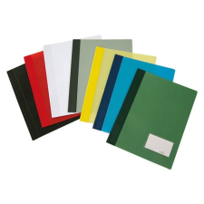 DURABLE Gyorsfűző PVC Durable Duralux A/4 áttetsző extra erős fehér lefűző