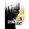  Dying Light - Crash Test Skin Pack (DLC) (digitális licenc)