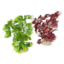 EBI AQUA DELLA Műnövény ANUBIAS NANA L mix színek 25cm 1db akvárium dekoráció