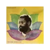 ECM Bennie Maupin - The Jewel In Lotus (Vinyl LP (nagylemez))