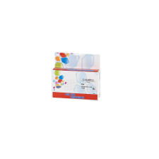 ECO utángyártott Canon CLI42 tintapatron szürke (ECOCAOLI42GY) (ECOCAOLI42GY) nyomtatópatron & toner