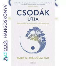 ÉDESVÍZ Csodák útja egyéb e-könyv