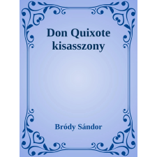 Efficenter Kft. Don Quixote kisasszony szépirodalom
