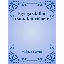 Efficenter Kft. Egy gazdátlan csónak története szépirodalom