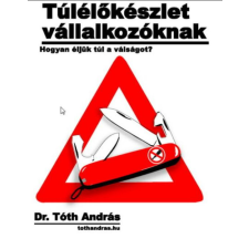 Efficenter Kft. Túlélőkészlet vállalkozóknak egyéb e-könyv