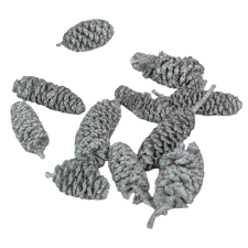  Éger indiai ezüst 10dkg/csom dekorációs kellék