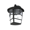 EGLO 93097 outdoor-WL 1-light E27 60W, upwards, black/clear 'ALORIA'