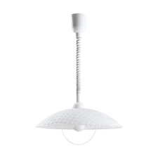 EGLO 96474 ALVEZ függesztett lámpa 60W világítás