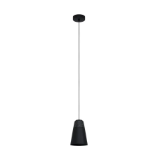 EGLO 99544 Függeszték E27 1x40Wfk/szürkeCanterras világítás