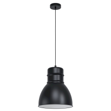 EGLO Ebury 43621 függeszték, 1x60W E27 világítás