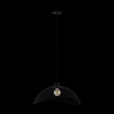 EGLO Eglo POMPEYA 43305 függeszték, 1x60W E27 világítás