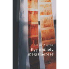 Egy műhely megismerése regény