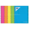 EGYEB BELFOLDI Orna Pro PP A4 120 lapos kockás vegyes színű spirálfüzet (EGYEB_BELFOLDI_ARD0234FLU)