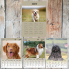  Egyedi fényképes kutyás naptár