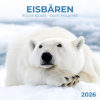  Eisbärchen/Polar Bears 2026 (Kalendář/Diář)