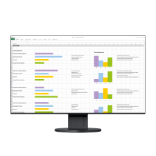 Eizo EV2451-BK monitor