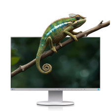 Eizo FlexScan EV2455 - 24&quot; Full HD Monitor (1920x1200, 16:10) monitor
