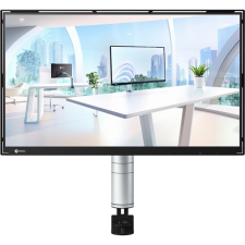 Eizo FlexScan FTL monitor