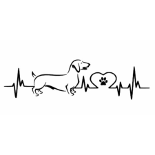 EKG-s tacskó autómatrica matrica