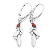 Ékszer ABC Ezüst gránát köves fülbevaló fülbevaló