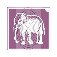 Elefánt 2 (csss0524) csillámtetoválás