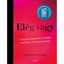  Elég vagy - A legjobb gyakorlatok és tippek a hatékony stresszkezeléshez életmód, egészség
