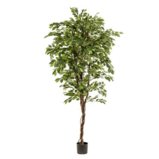  Élethű fikusz fonott törzzsel 200 cm dekoráció