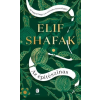Elif Shafak - Az építészinas