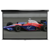Elitescreen M113UWS1