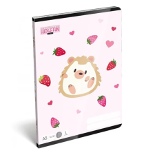  Elsős vonalas füzet A5 - Hedge Fun füzet