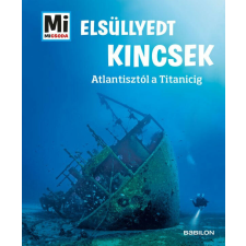 Elsüllyedt kincsek - Mi MICSODA gyermek- és ifjúsági könyv