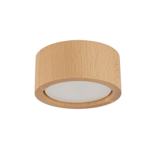 Elter - TK Lighting TK Lighting Eve mennyezeti spotlámpa világítás