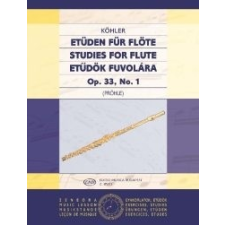EMB Etűdök fuvolára 1. Op. 33. No. 1. művészet