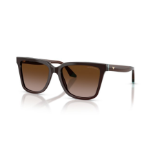 Emporio Armani EA4261 631813 TRANSPARENT BROWN/TEAL BROWN GRADIENT napszemüveg napszemüveg