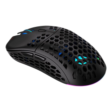 Endorfy Mouse LIX Wireless - Black (EY6A008) egér