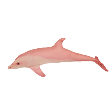 EnergoTeam HALAS PÁRNA DELFIN BABY PINK 55CM lakástextília