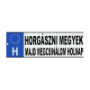EnergoTeam tréfés rendszámtábla - horgászni megyek
