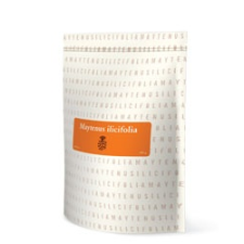 ENERGY MAYTENUS ILICIFOLIA Tea 105g tea