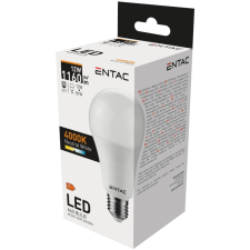  Entac LED Globe E27 12W NW 4000K izzó