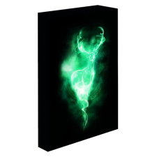Epee Harry Potter - Patron, 30 × 40 cm - LED svítící obraz ajándéktárgy