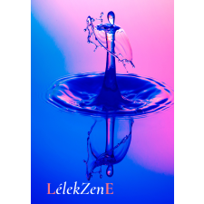 Erika László (magánkiadás) LélekZenE egyéb e-könyv