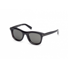 Ermenegildo Zegna EZ0269 20D