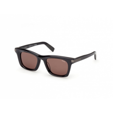 Ermenegildo Zegna EZ0270 20E