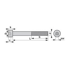 ESM Rögzítőcsavar 00902555 - M10 x 20 mm autóalkatrész