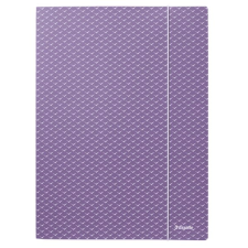ESSELTE Colour'Breeze karton gumis mappa levendula színű (628495) (Esselte628495) mappa