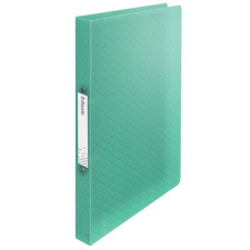 ESSELTE Gyűrűs könyv, 2 gyűrű, 25 mm, A4, PP, ESSELTE  Colour Ice , zöld irodalom