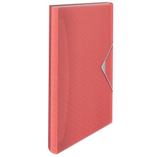 ESSELTE Harmonikamappa, A4, PP, 6 rekeszes, ESSELTE "Colour`Breeze", korall mappa