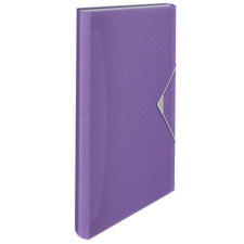 ESSELTE Harmonikamappa, A4, PP, 6 rekeszes, ESSELTE Colour`Breeze, levendula (E628448) mappa