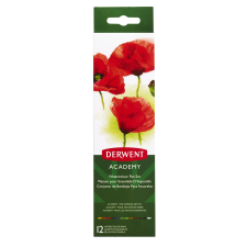 Esselte Kft. Derwent Academy vízfesték készlet 12 db kréta, festék és papír
